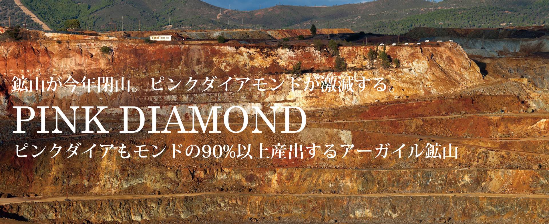 2020年に激減するピンクダイアモンドが久留米市のCHARISに大集合