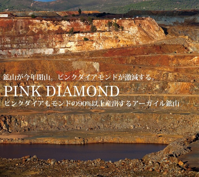 2020年に激減するピンクダイアモンドが久留米市のCHARISに大集合